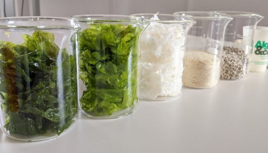 Somater partners with Eranova to create algae-based polymer packaging