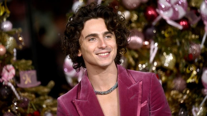 Timothée Chalamet Signs Warner Bros. Deal to Star in and Produce New Movies After ‘Wonka’ and ‘Dune’ Success