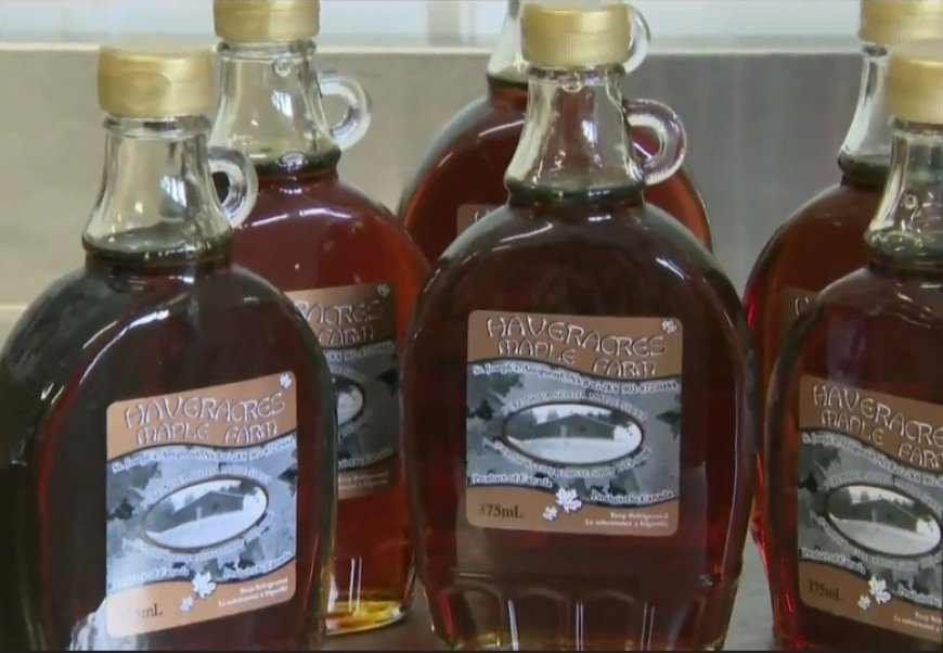 Canada’s maple syrup production hits 5-year low, reserves sink