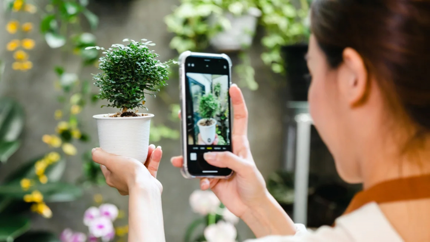 Best plant identification apps for mobile in 2024